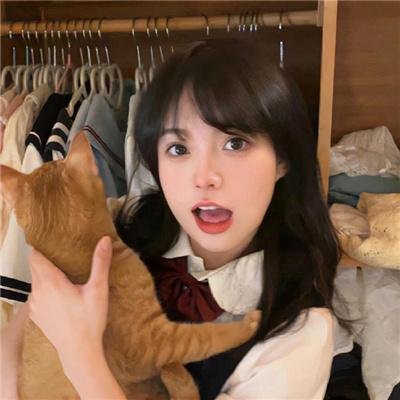 猫咪心动奇迹
